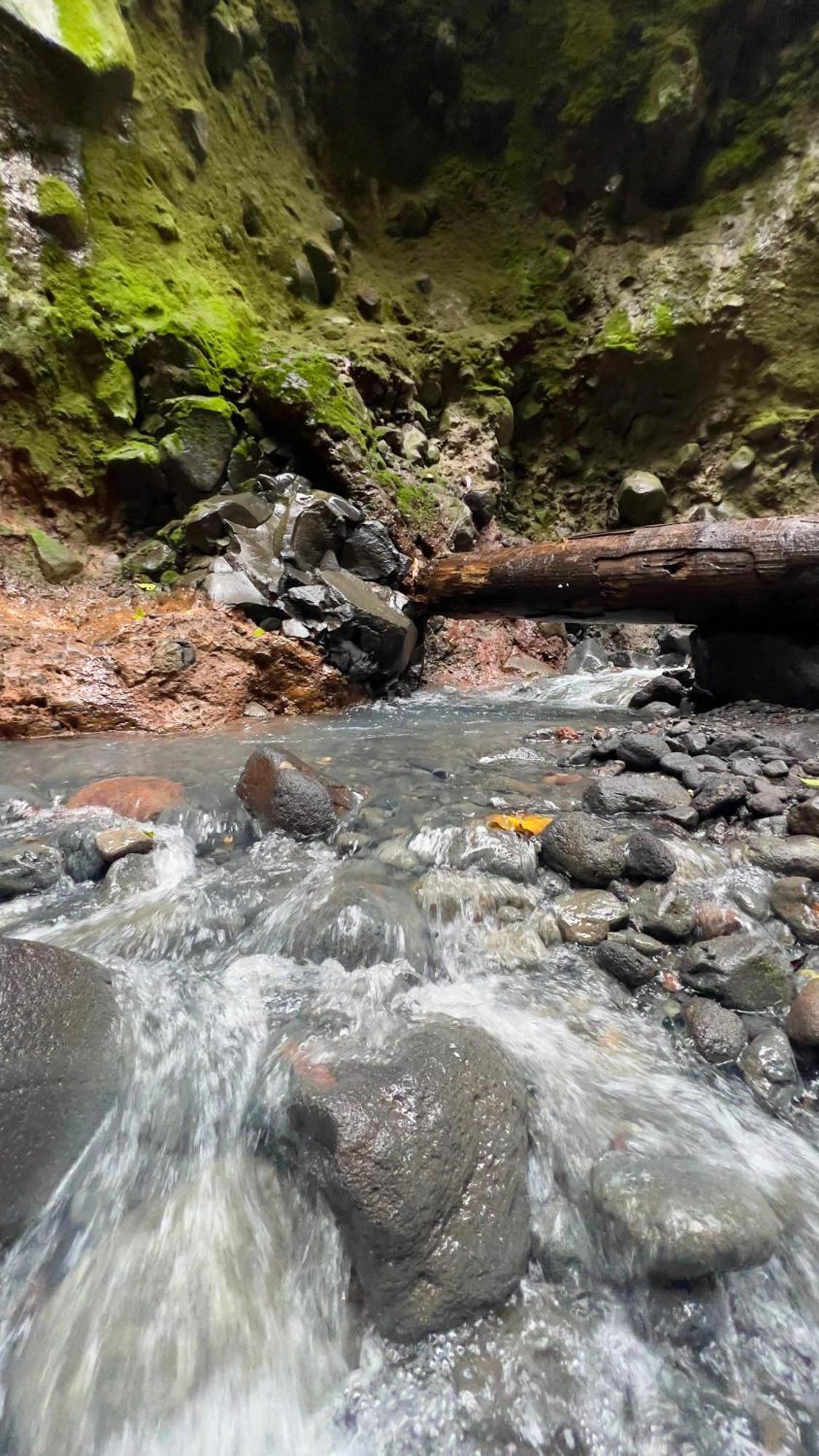 Mineral River Eco Village Упала Экстерьер фото